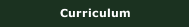 Curriculum