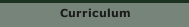 Curriculum